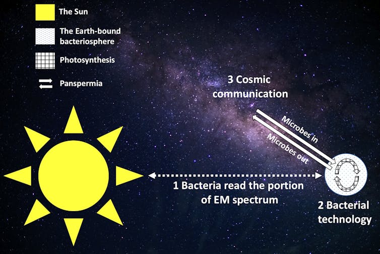 Bacteria are better alien hunters than you — sorry, squishy human