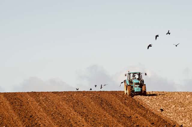 tractor ploughs field