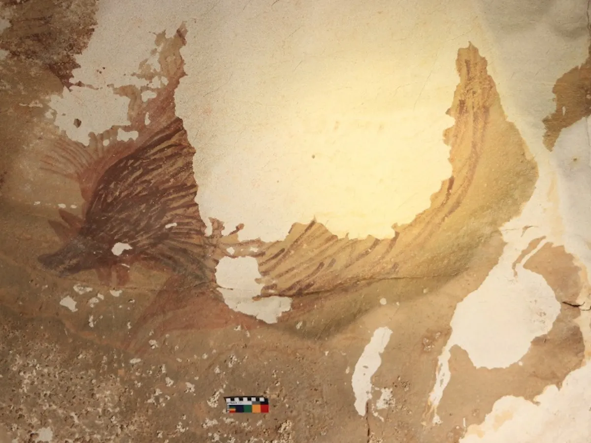 How Climate Change Is Erasing The World S Oldest Rock Art How Climate Change Is Erasing The World S Oldest Rock Art