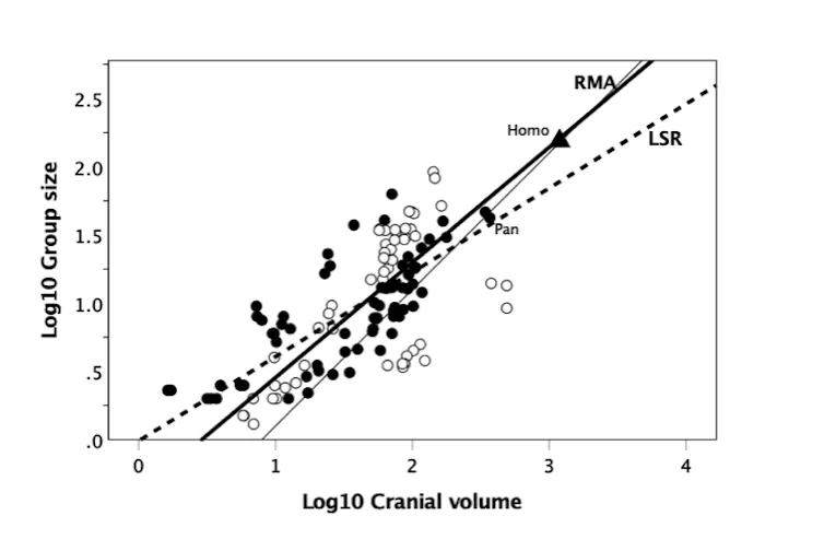 Grafik yang menunjukkan hasil yang berbeda untuk analisis statistik RMA dan LSR