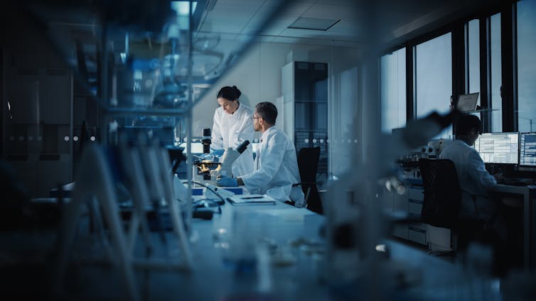 Three scientists at work in a lab