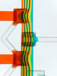 Microfluidics: The tiny, beautiful tech hidden all around you