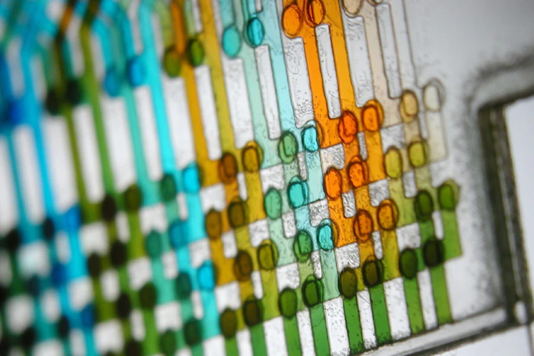 Dozens of colored lines of liquid on a small device.
