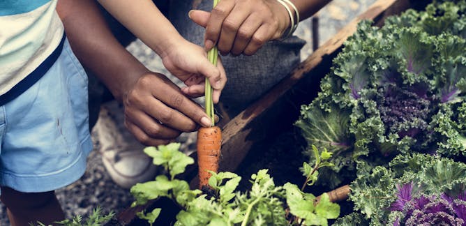 community gardens news research and analysis the conversation page 1