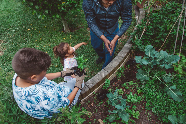 A family are gardening.