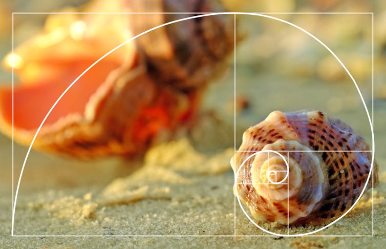 The golden ratio: an ancient Greek formula could be responsible for ...