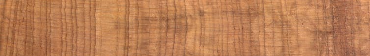 We found a secret history of megadroughts written in tree rings. The wheatbelt's future may be drier than we thought