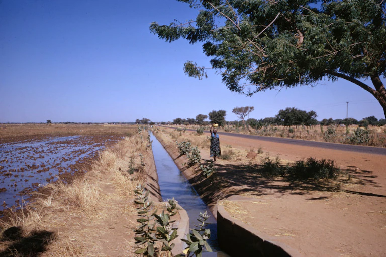 Woman walks on a path next to an irrigation ditch between a field and a road.