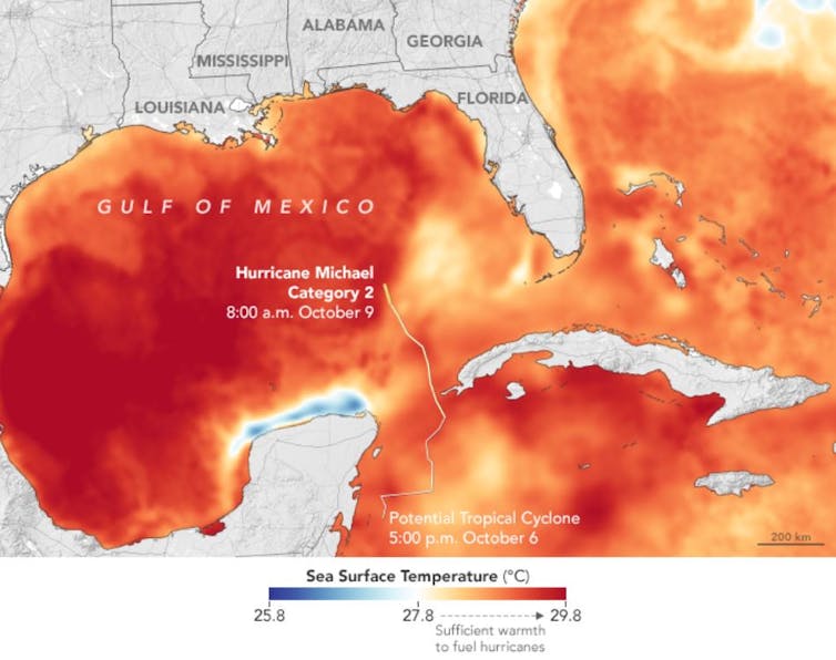 Sea surface temperature map of the Gulf of Mexico during in October 2018