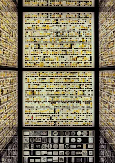 A wall of framed biological specimens and imagery