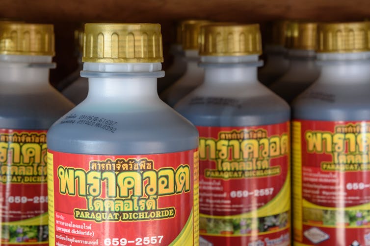 Paraquat bottles with Thai language label
