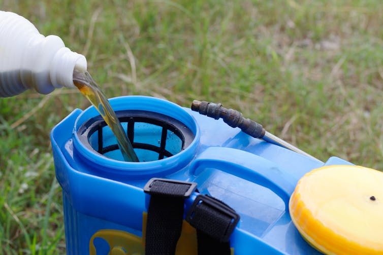 chemical being poured into pressure pump container