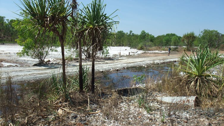 The story of Rum Jungle: a Cold War-era uranium mine that’s spewed acid into the environment for decades