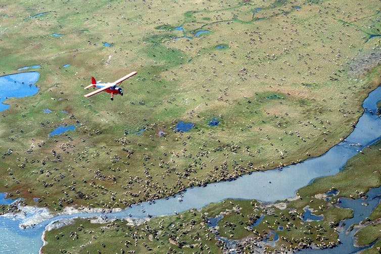 A small plane flying over a coastal area of the Alaska National Wildlife Refuge.