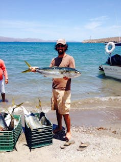 A man holding a large blue and silver fish on a beach.