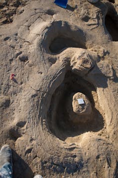 Sauropod footprints at the Snake Creek Tracksite.