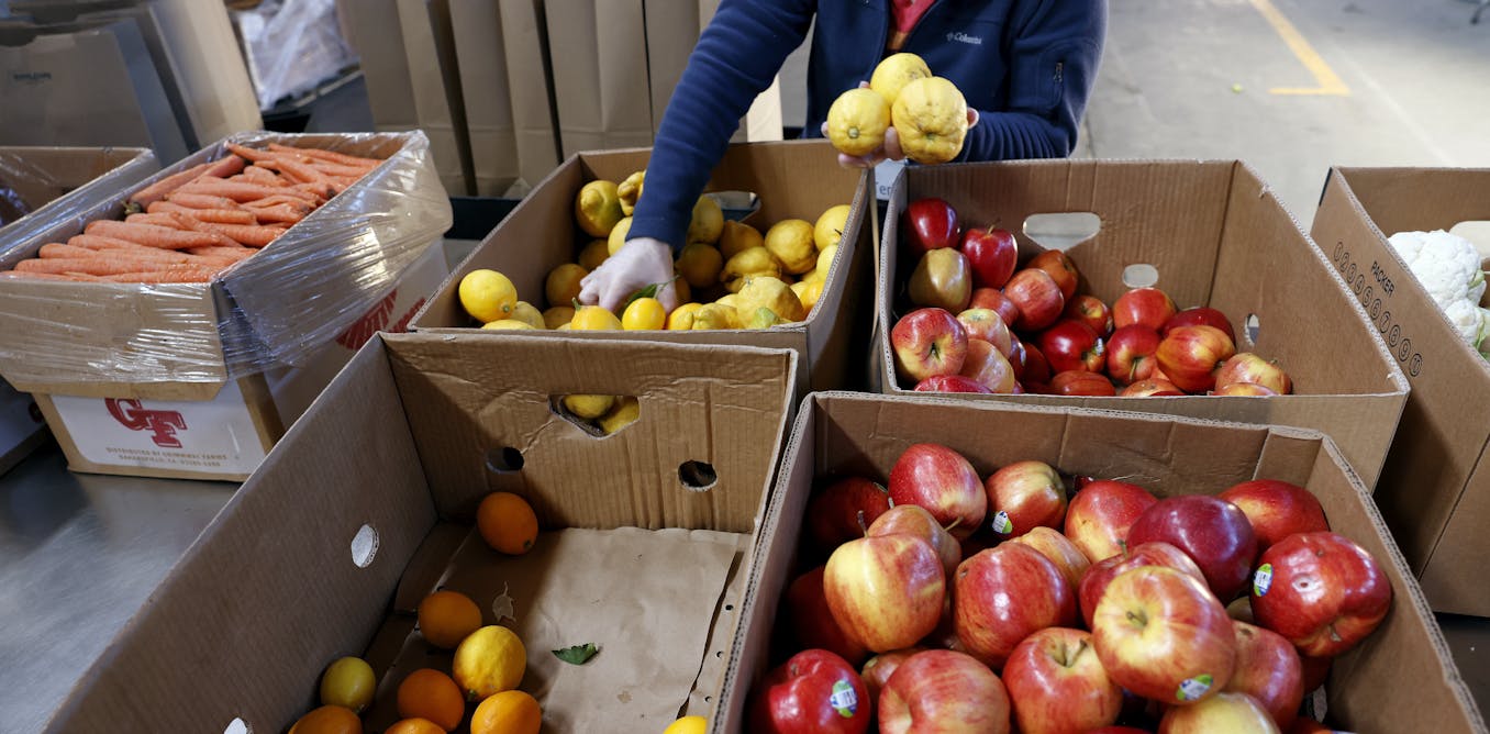 The racial hunger gap in American cities and what to do about it – podcast