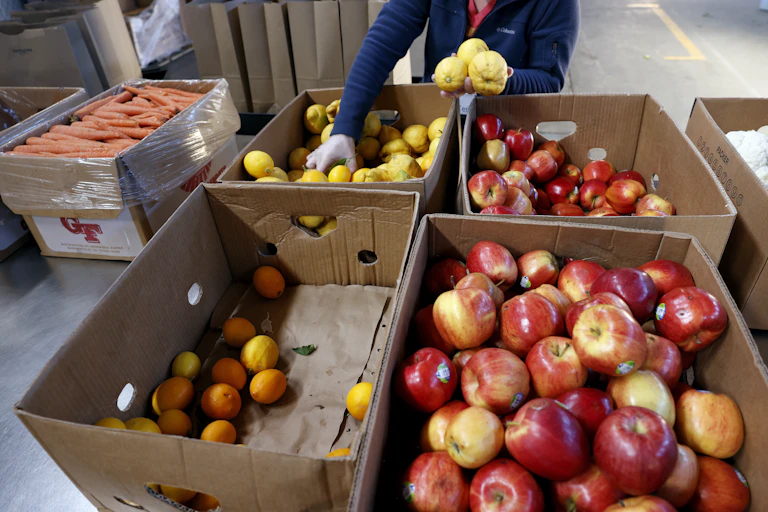 Boxes of apples lemons with person.