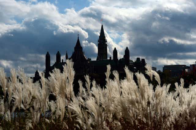 Parliament Hill in silhouette with long grasses in front of it.