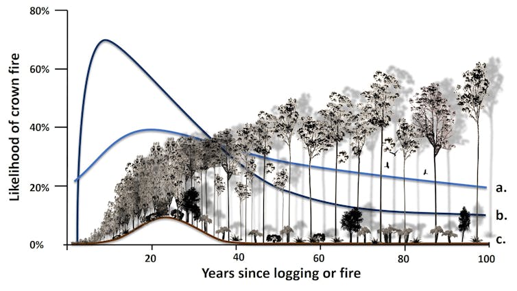 Graph showing the likelihood of crown fire relative to years since logging or fire