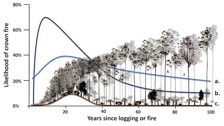 Native forest logging makes bushfires worse – and to say otherwise ignores the facts