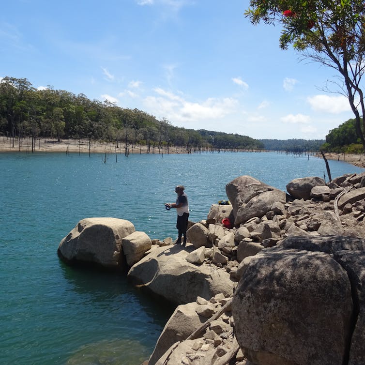 The Wet Tropics' wildlife is celebrated worldwide. Its cultural heritage? Not so much