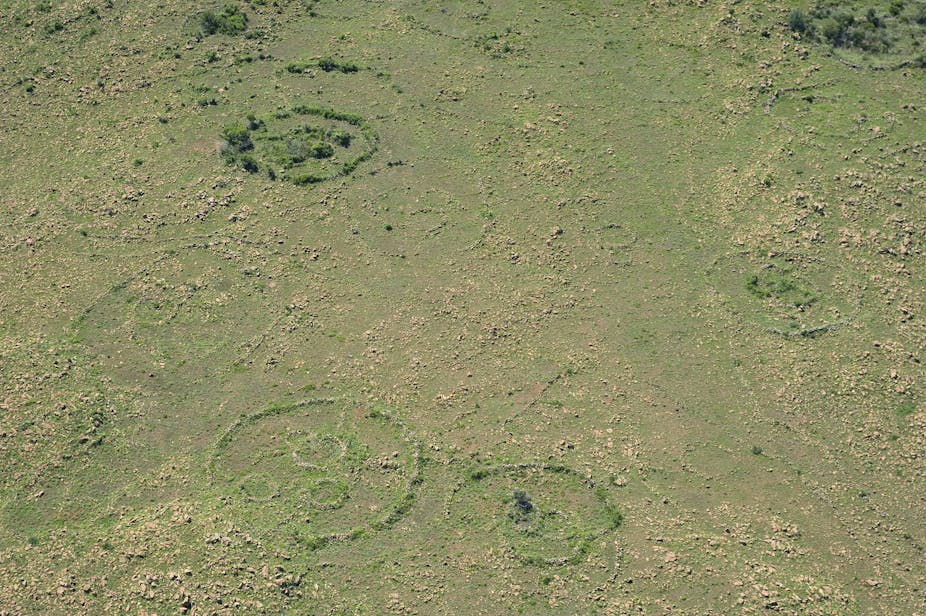 Circular patterns, raised in green, are seen from a great height on a green and brown landscape