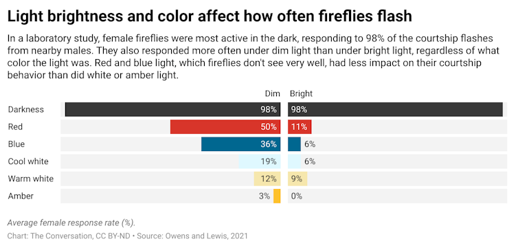 How different light affects fireflies