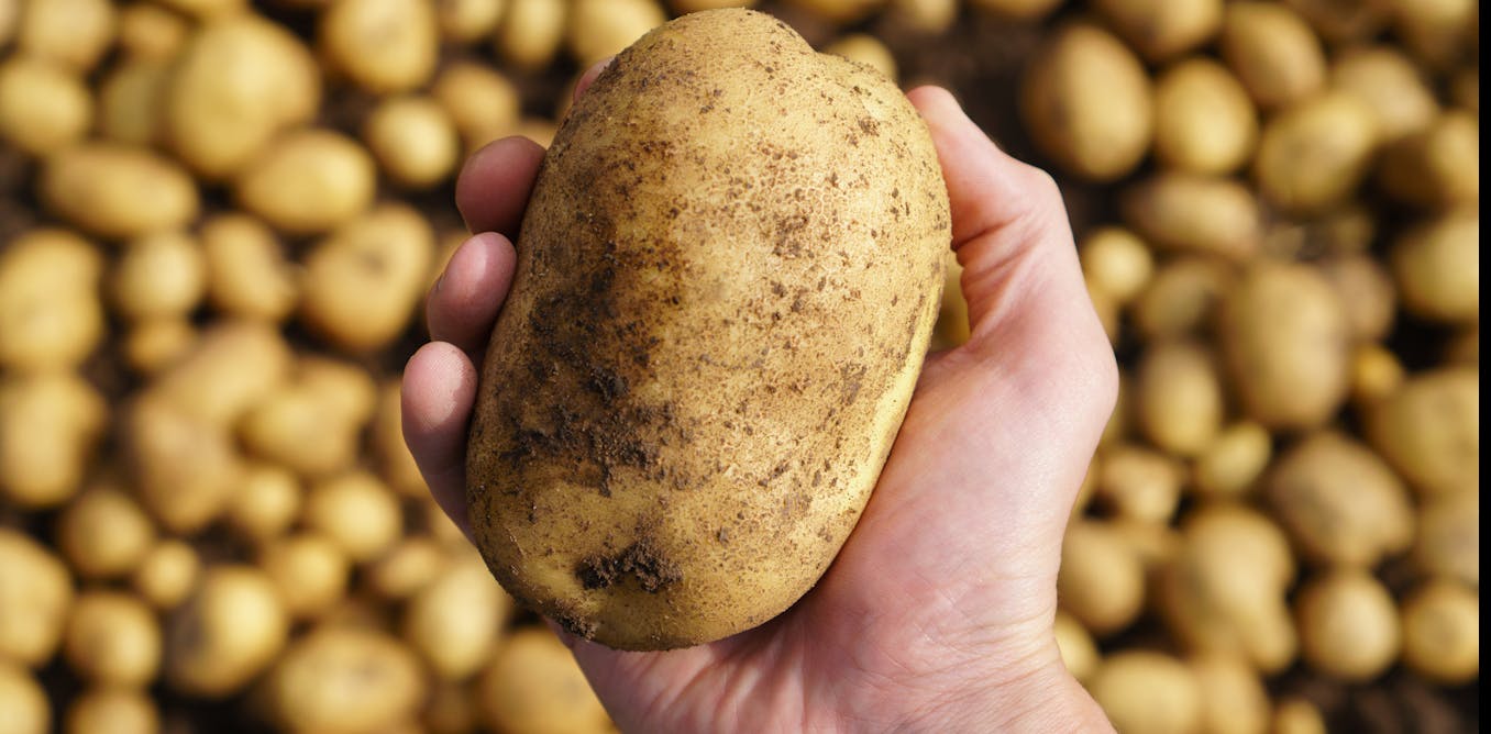 Six reasons why potatoes are good for you