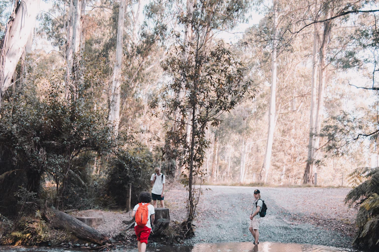 kids and trees