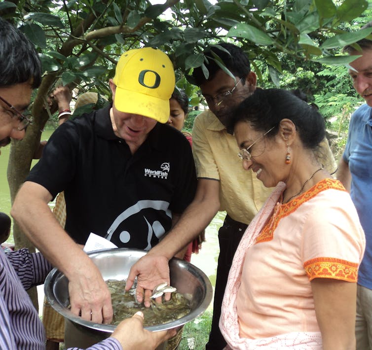 Thilsted debajo de un árbol, examinando una bandeja llena de peces pequeños