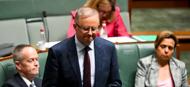 Labor leader Anthony Albanese in question time.