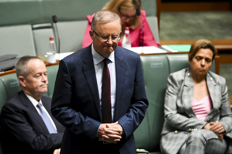 Labor leader Anthony Albanese in question time.