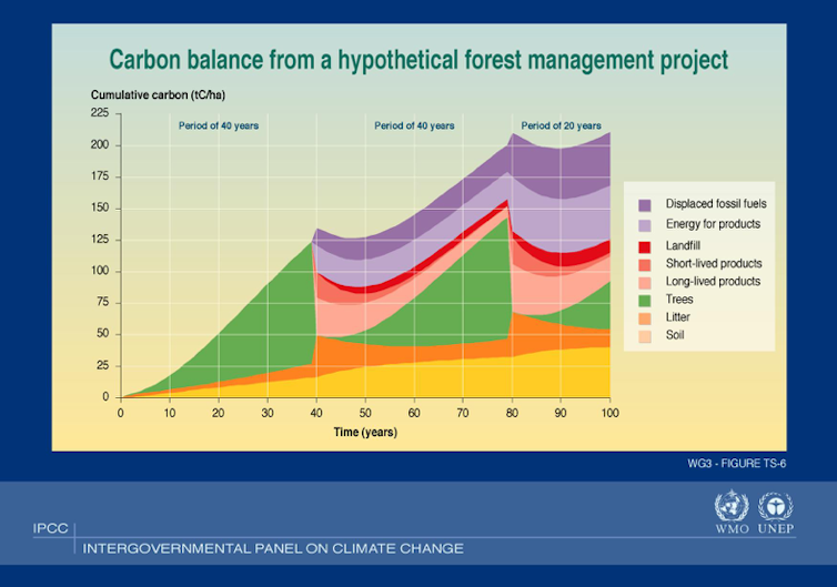 Gr?fico que muestra el carbono absorbido y emisiones evitadas