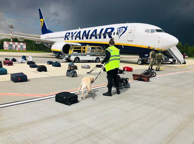 Airport security with a sniffer dog checking the luggage of passengers in front of the Ryanair Boeing 737-8AS (flight FR4978), carrying opposition figure Roman Protasevich.