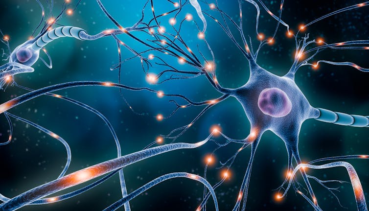 An artist's impression of neurons in the brain