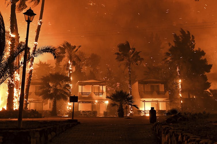 homes on fire surrounded by palm trees.