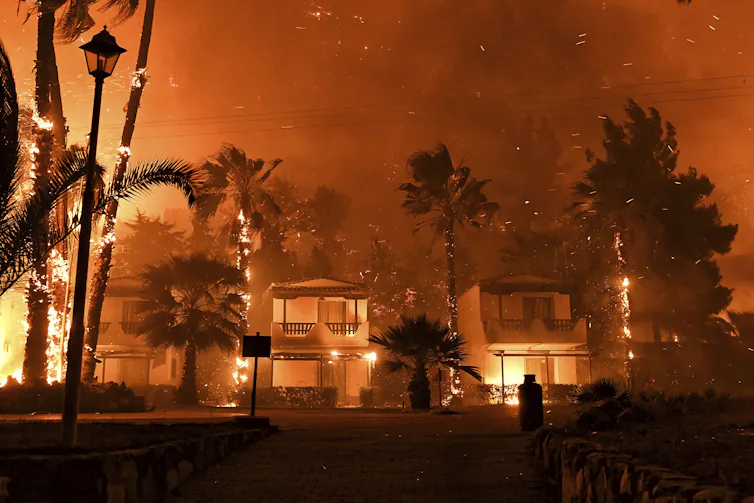 homes on fire surrounded by palm trees.