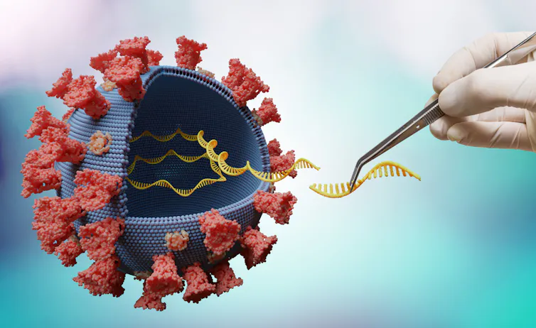 illustration of a coronavirus