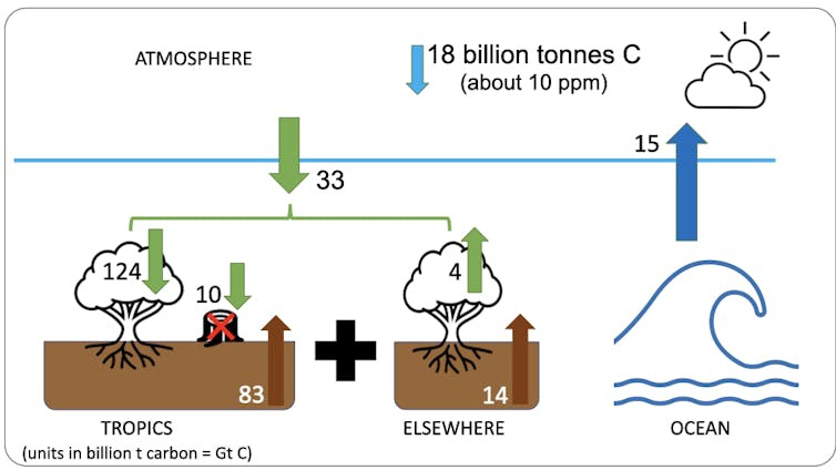 Chart showing flows of carbon in and out of the atmosphere.