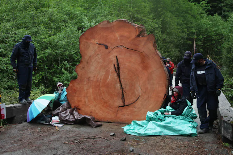 Officers walk around a large tree stump and two seated protesters.