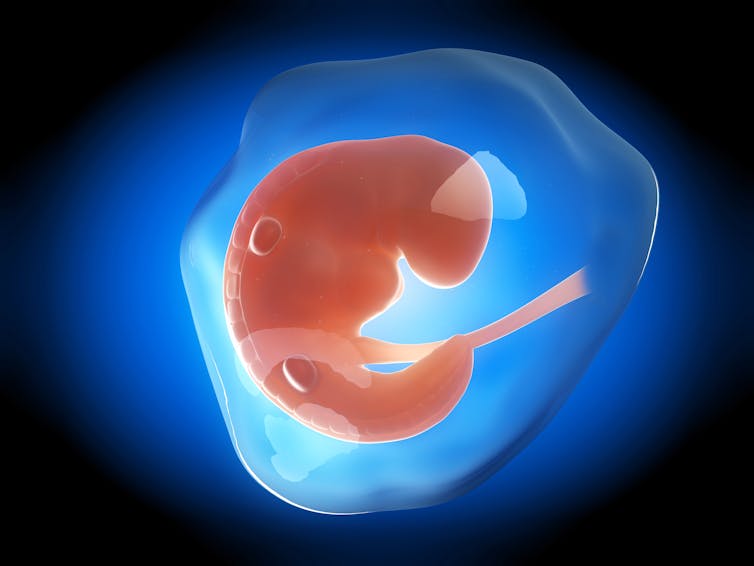 An illustration of a foetus floating in a bubble on a blue background