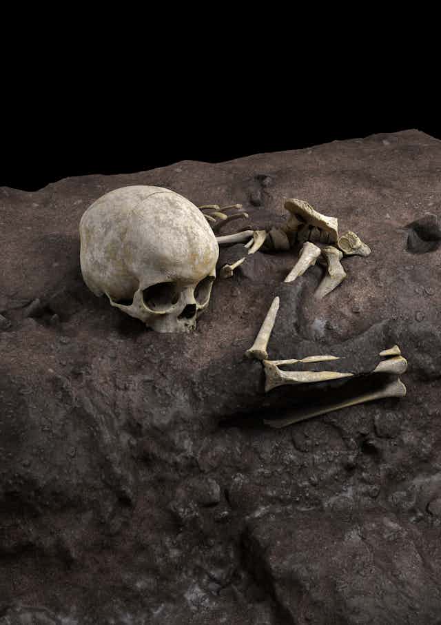 Un crâne et des os humains gisent sur le sol.