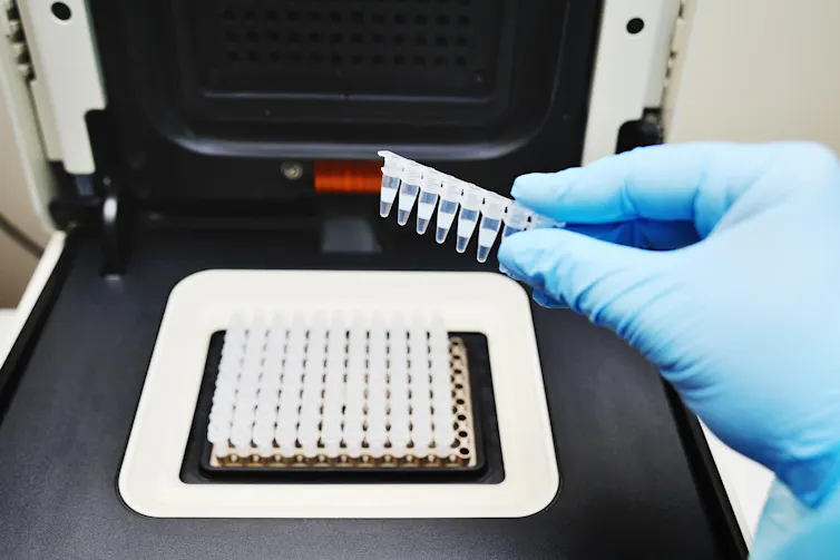 A PCR thermocycler.