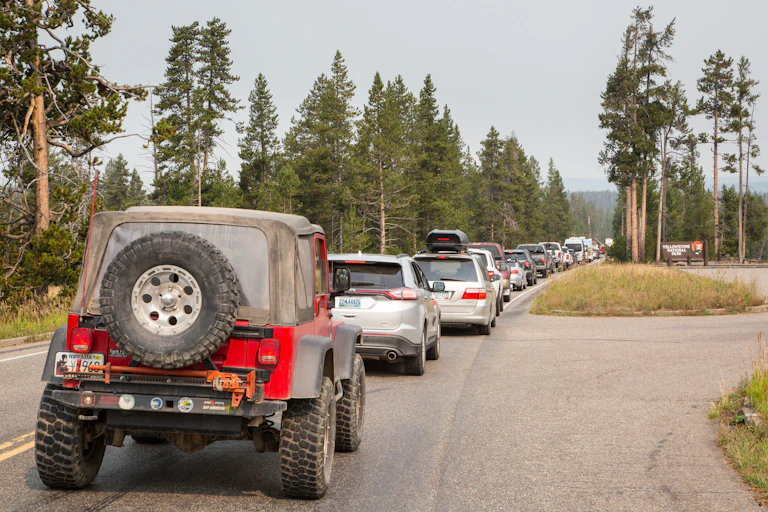 Dozens of cars at a standstill on road, surrounded by trees.