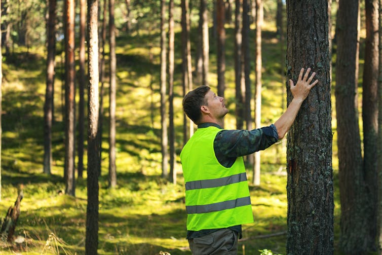 La gestión de los bosques, clave en la lucha contra el cambio climático –  Foro de Bosques y Cambio Climático