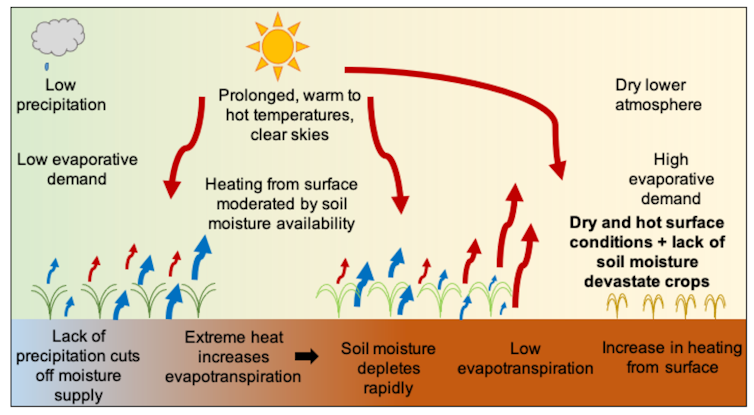 'Flash droughts' can dry out soil in weeks. New research shows what they look like in Australia