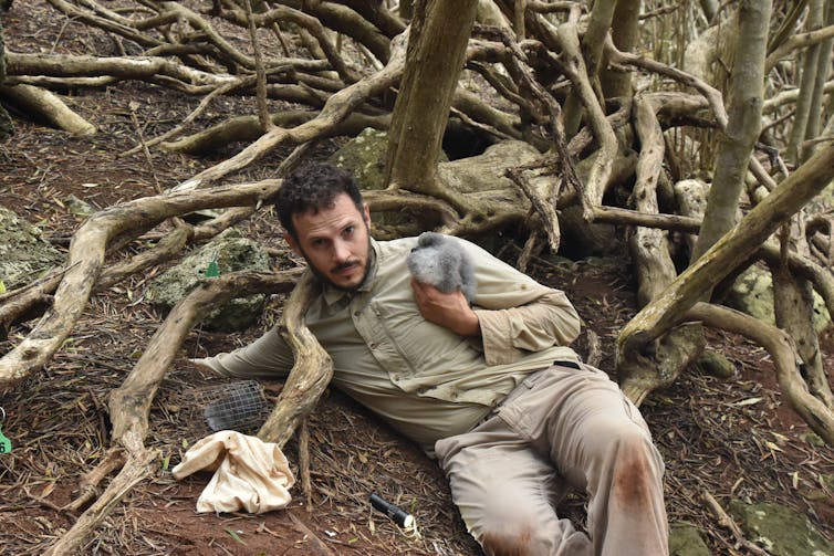 Luke Halpin with a black-winged petrel chick.