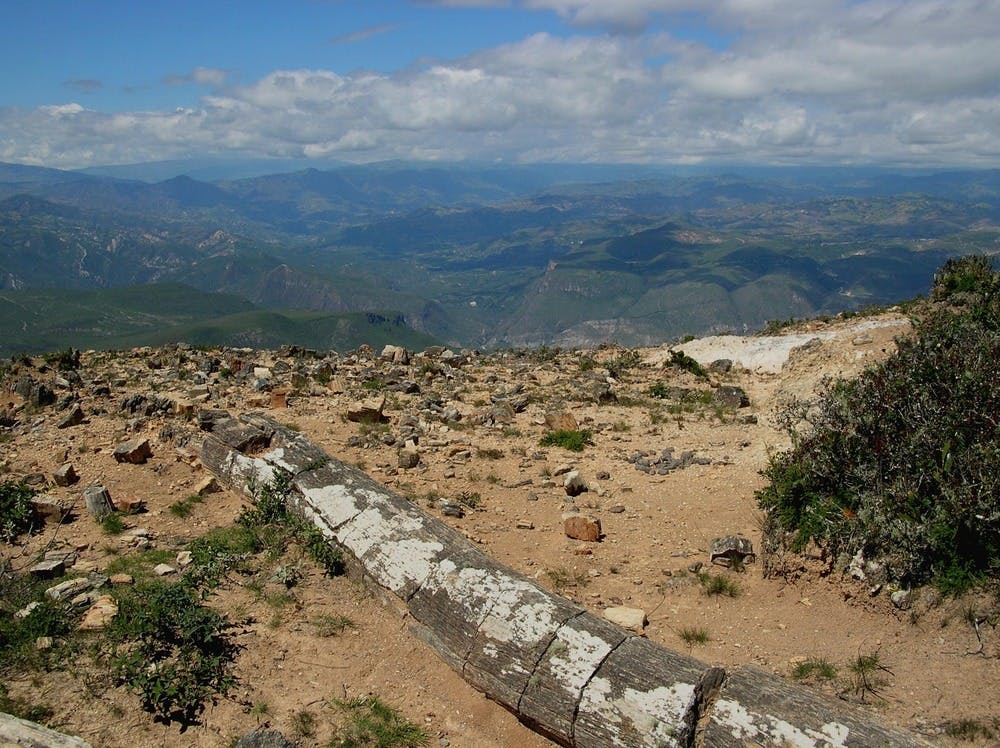 Árboles petrificados en Perú revelan la historia primigenia de Sudamérica