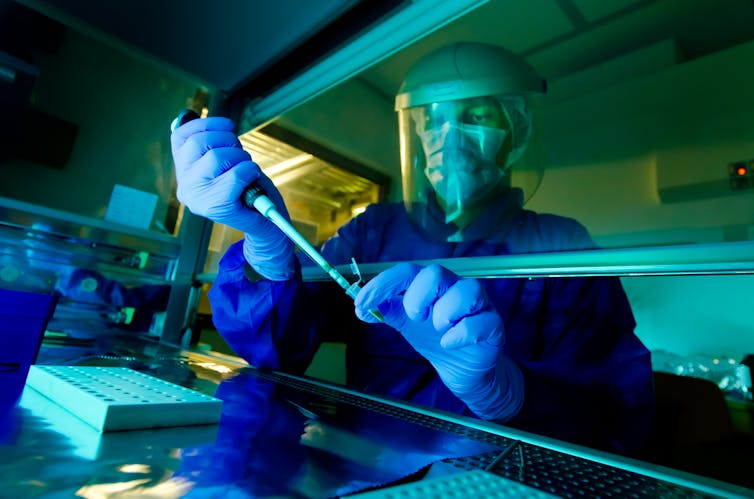Dirty secrets sediment DNA reveals a 300 000 year Dirty secrets sediment DNA reveals a 300 000 year